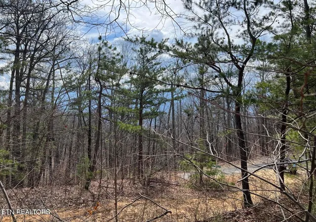 Photo 1 of Land for sale at 0 Chestnut Ridge Ct, Sevierville, TN 37876 | MLS# 3619468 | Listing updated on 2026-10-12