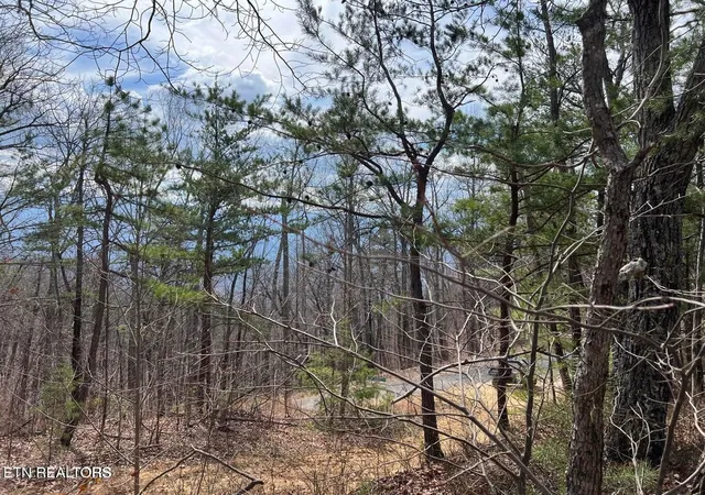 Photo 2 of Land for sale at 0 Chestnut Ridge Ct, Sevierville, TN 37876 | MLS# 3619468 | Listing updated on 2026-10-12