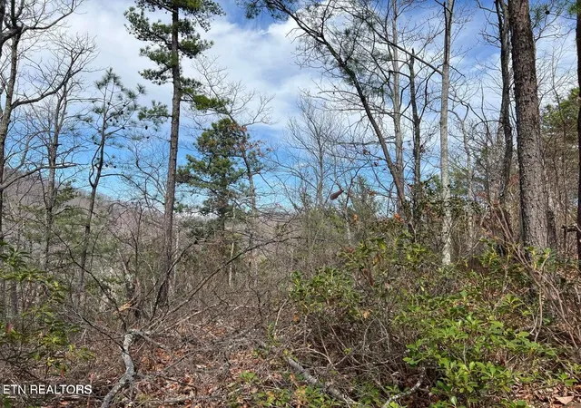 Photo 3 of Land for sale at 0 Chestnut Ridge Ct, Sevierville, TN 37876 | MLS# 3619468 | Listing updated on 2026-10-12