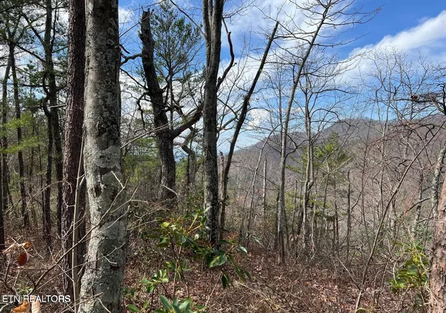 Photo 4 of Land for sale at 0 Chestnut Ridge Ct, Sevierville, TN 37876 | MLS# 3619468 | Listing updated on 2026-10-12