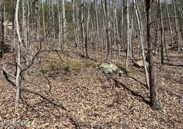 Photo 1 of Land for sale at 0 Clingmans View, Sevierville, TN 37876 | MLS# 3619477 | Listing updated on 2026-10-12