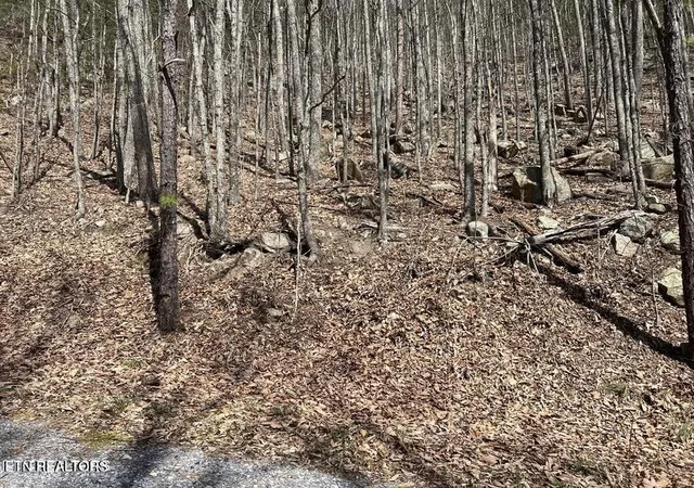 Photo 2 of Land for sale at 0 Clingmans View, Sevierville, TN 37876 | MLS# 3619477 | Listing updated on 2026-10-12