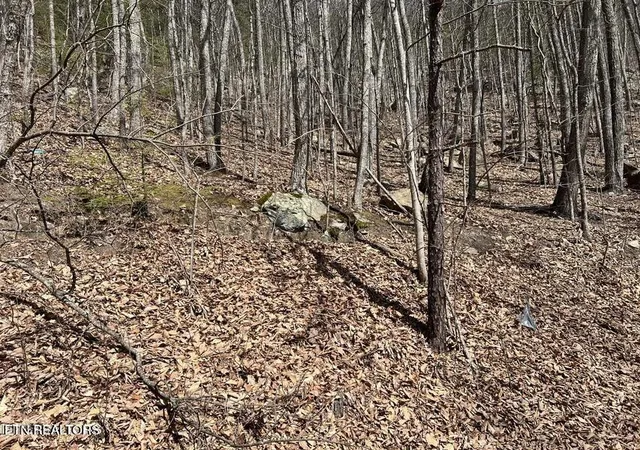 Photo 4 of Land for sale at 0 Clingmans View, Sevierville, TN 37876 | MLS# 3619477 | Listing updated on 2026-10-12