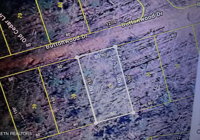 Photo 1 of Land for sale at 0 Buttonwood Dr, Sevierville, TN 37876 | MLS# 3619476 | Listing updated on 2026-10-12
