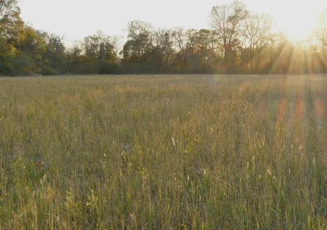 Photo 1 of Land for sale at 0 Cedar Grv Rd, Chapel Hill, TN 37034 | MLS# 3620528 | Listing updated on 2026-10-16