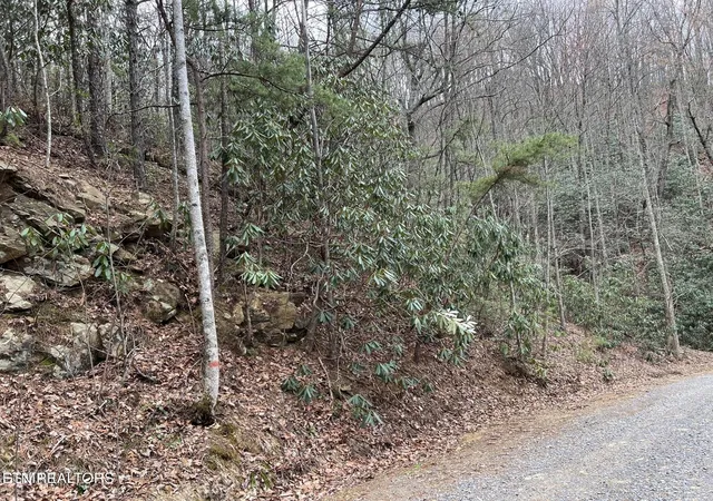 Photo 3 of Land for sale at 0 John Sevier Dr, Sevierville, TN 37876 | MLS# 3619492 | Listing updated on 2026-10-12