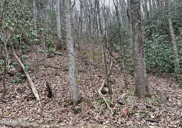 Photo 1 of Land for sale at 120 John Sevier Dr, Sevierville, TN 37876 | MLS# 3619536 | Listing updated on 2026-10-12