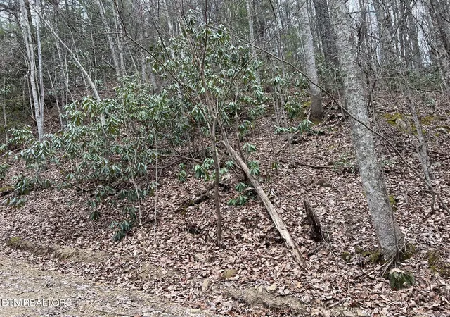 Photo 1 of Land for sale at 120 John Sevier Dr, Sevierville, TN 37876 | MLS# 3619536 | Listing updated on 2026-10-12