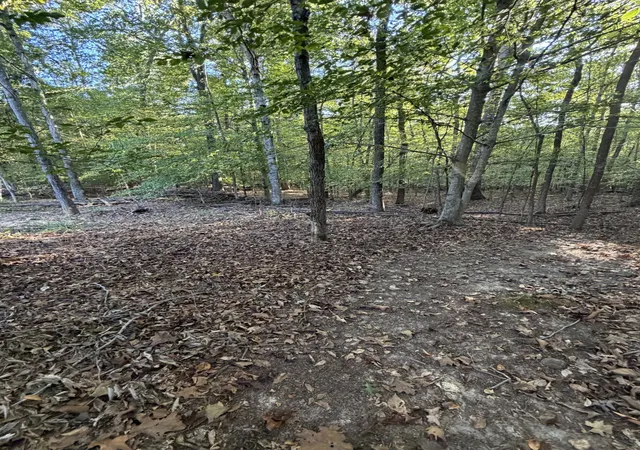Photo 1 of Land for sale at 559 Pleasant Hl Rd, Dover, TN 37058 | MLS# 3619691 | Listing updated on 2026-10-20