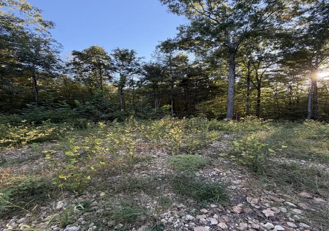 Photo 2 of Land for sale at 559 Pleasant Hl Rd, Dover, TN 37058 | MLS# 3619691 | Listing updated on 2026-10-20