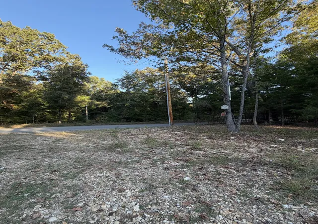 Photo 4 of Land for sale at 559 Pleasant Hl Rd, Dover, TN 37058 | MLS# 3619691 | Listing updated on 2026-10-20
