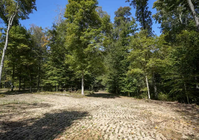 Photo 1 of Land for sale at 4 Highway 149, Cumberland City, TN 37050 | MLS# 3620156 | Listing updated on 2026-10-13