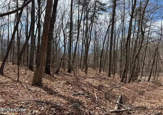 Photo 1 of Land for sale at 0 Swann Saddle, Sevierville, TN 37876 | MLS# 3619917 | Listing updated on 2026-10-13