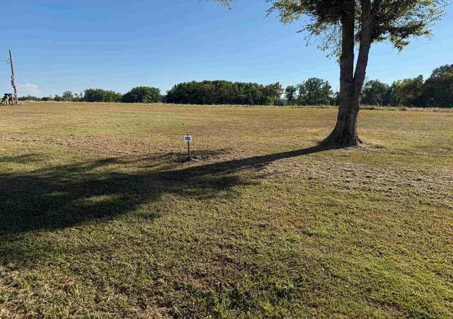 Photo 2 of Land for sale at 229 Jaycee Ln, Adamsville, TN 38310 | MLS# 3619920 | Listing updated on 2026-10-13