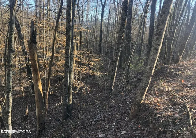 Photo 1 of Land for sale at 0 Yellowwood Dr, Sevierville, TN 37876 | MLS# 3619993 | Listing updated on 2026-10-13