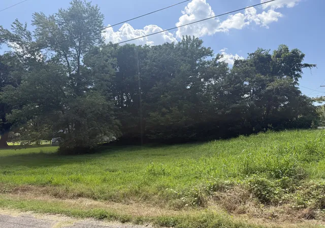 Photo 3 of Land for sale at 0 Rosenwald, South Fulton, TN 38257 | MLS# 3619999 | Listing updated on 2026-10-13