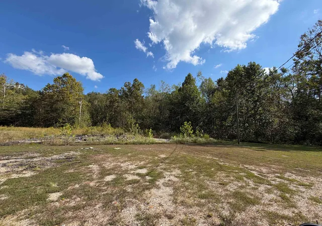 Photo 3 of Land for sale at 7156 Highway 128, Savannah, TN 38372 | MLS# 3620114 | Listing updated on 2026-10-13