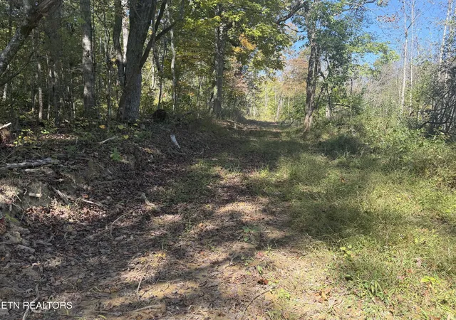 Photo 1 of Land for sale at 2697 Mt Helen Rd, Allardt, TN 38504 | MLS# 3620204 | Listing updated on 2026-10-14