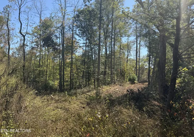 Photo 3 of Land for sale at 2697 Mt Helen Rd, Allardt, TN 38504 | MLS# 3620204 | Listing updated on 2026-10-14