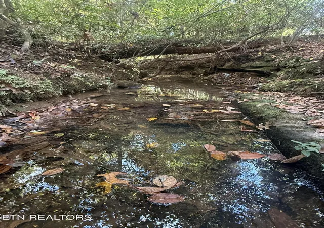 Photo 2 of Land for sale at 2697 Mt Helen Rd, Allardt, TN 38504 | MLS# 3620204 | Listing updated on 2026-10-14