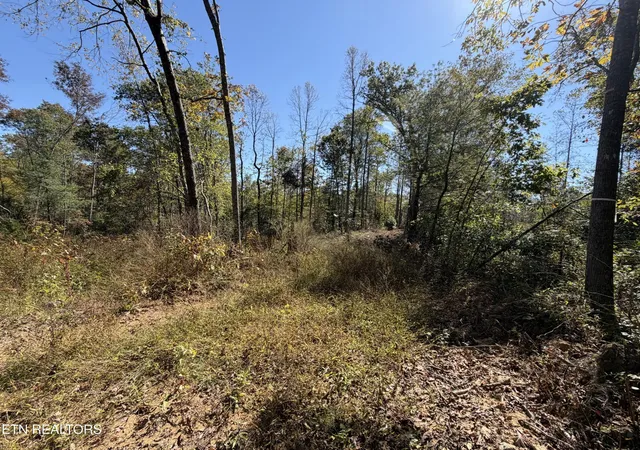 Photo 4 of House for sale at 2697 Mt Helen Rd, Allardt, TN 38504 | MLS# 3620204 | Listing updated on 2026-10-14