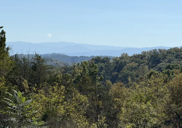 Photo 4 of Land for sale at 449 Red Cedar Ridge Rd, Sevierville, TN 37876 | MLS# 3620375 | Listing updated on 2026-10-14