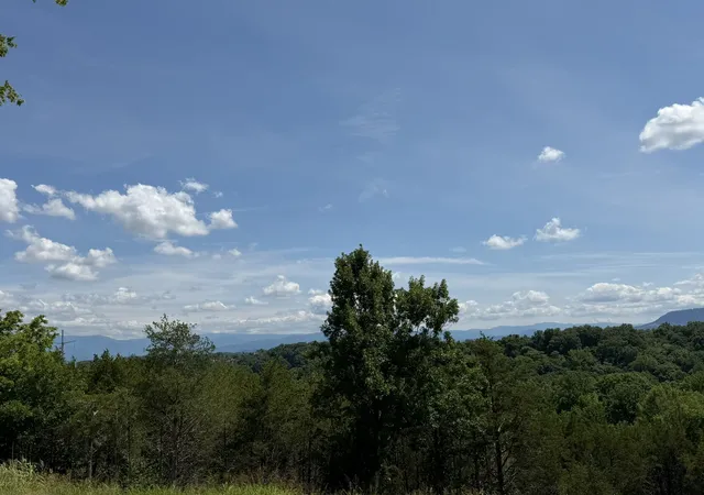 Photo 4 of Land for sale at 135 Red Cedar Ridge Rd, Sevierville, TN 37876 | MLS# 3620379 | Listing updated on 2026-10-14