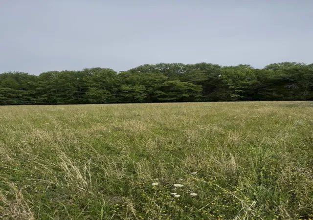 Photo 1 of Land for sale at 0 Riverview Rd, Mount Juliet, TN 37122 | MLS# 3620363 | Listing updated on 2026-10-14