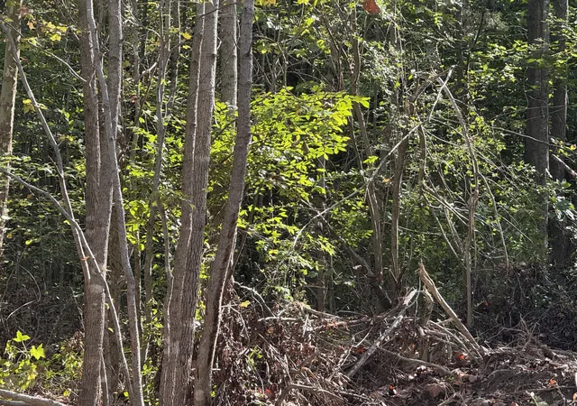 Photo 2 of Land for sale at 2207 River Rd, Clarksville, TN 37040 | MLS# 3621126 | Listing updated on 2026-10-19