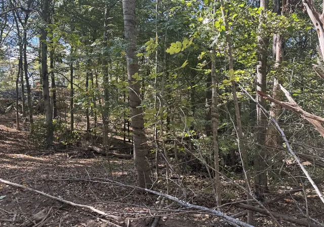 Photo 3 of Land for sale at 2207 River Rd, Clarksville, TN 37040 | MLS# 3621126 | Listing updated on 2026-10-19