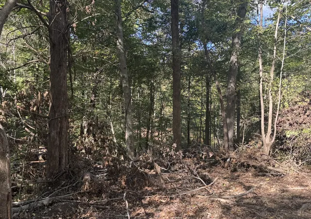 Photo 4 of Land for sale at 2207 River Rd, Clarksville, TN 37040 | MLS# 3621126 | Listing updated on 2026-10-19
