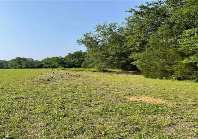 Photo 4 of Land for sale at 1156 Case Rd, Prospect, TN 38477 | MLS# 3620714 | Listing updated on 2026-10-26