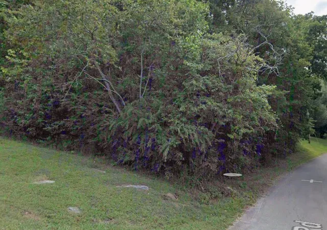 Photo 1 of Land for sale at 0 Burton Rd, Sparta, TN 38583 | MLS# 3620427 | Listing updated on 2026-10-23