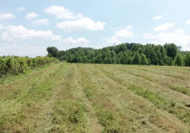Photo 3 of Land for sale at 0 Mate Allen Rd, Gainesboro, TN 38562 | MLS# 3620442 | Listing updated on 2026-10-16