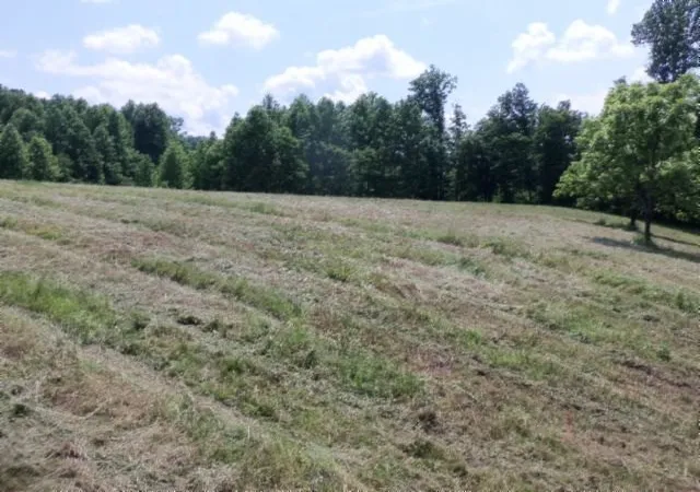 Photo 4 of Land for sale at 0 Mate Allen Rd, Gainesboro, TN 38562 | MLS# 3620442 | Listing updated on 2026-10-16