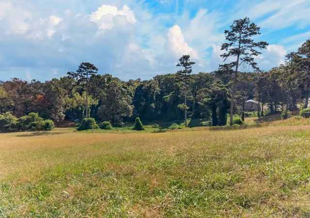 Photo 4 of Land for sale at 0 Cow Poke Ln, Rutledge, TN 37861 | MLS# 3622094 | Listing updated on 2026-10-18