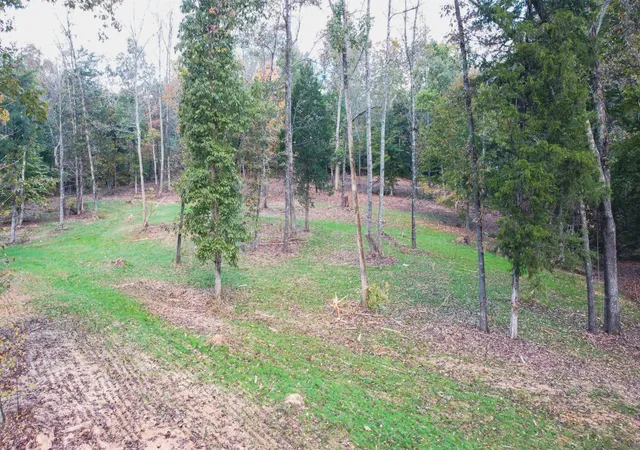 Land for sale at 0 Hilltop Rd, Cumberland Furnace, TN 37051 | MLS# 3621092