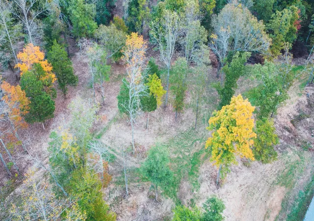 Photo 4 of Land for sale at 0 Hilltop Rd, Cumberland Furnace, TN 37051 | MLS# 3621092 | Listing updated on 2026-10-15