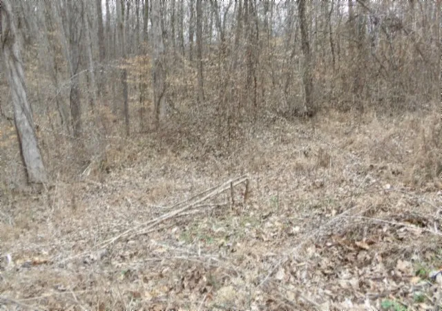 Photo 1 of Land for sale at 0 Beaver Ln, Gainesboro, TN 38562 | MLS# 3621119 | Listing updated on 2026-10-15