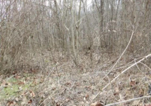 Photo 1 of Land for sale at 0 Beaver Ln, Gainesboro, TN 38562 | MLS# 3621119 | Listing updated on 2026-10-15