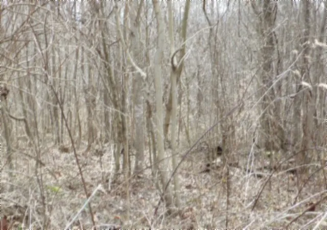Photo 2 of Land for sale at 0 Beaver Ln, Gainesboro, TN 38562 | MLS# 3621119 | Listing updated on 2026-10-15