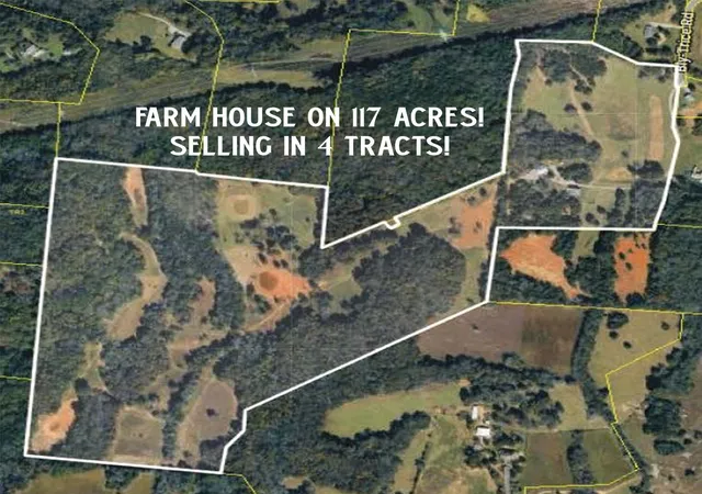 Single family home for sale at 6770 Bly Trice Rd, College Grove, TN 37046 | MLS# 3621718