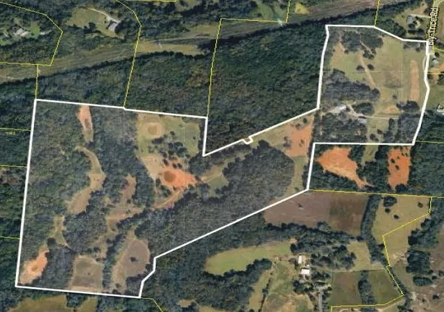 Photo 3 of Single family home for sale at 6770 Bly Trice Rd, College Grove, TN 37046 | MLS# 3621718 | Listing updated on 2026-10-27