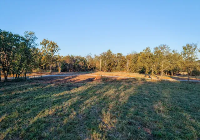 Photo 2 of Land for sale at 0 Manire Rd, Chapel Hill, TN 37034 | MLS# 3622199 | Listing updated on 2026-10-19