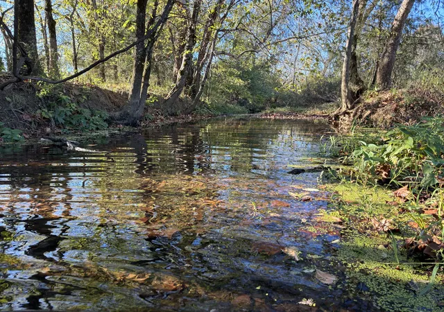 Photo 1 of Land for sale at 0 Manire Rd, Chapel Hill, TN 37034 | MLS# 3622199 | Listing updated on 2026-10-19