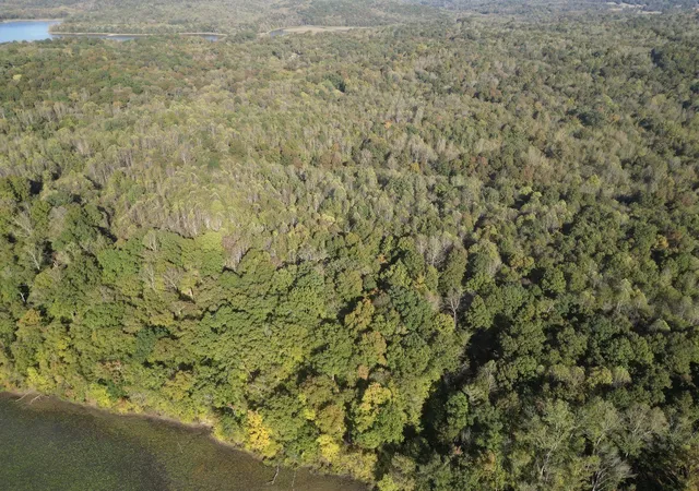 Photo 4 of Land for sale at 0 Antioch Rd, Dover, TN 37058 | MLS# 3622556 | Listing updated on 2026-10-22