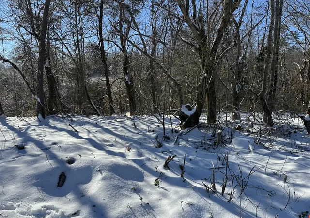 Photo 3 of Land for sale at 353 Rock Crk Rd, Lookout Mountain, GA 30750 | MLS# 3621496 | Listing updated on 2026-10-16