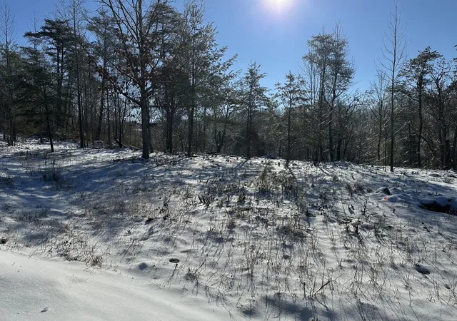 Photo 3 of Land for sale at 353 Rock Crk Rd, Lookout Mountain, GA 30750 | MLS# 3621496 | Listing updated on 2026-10-16