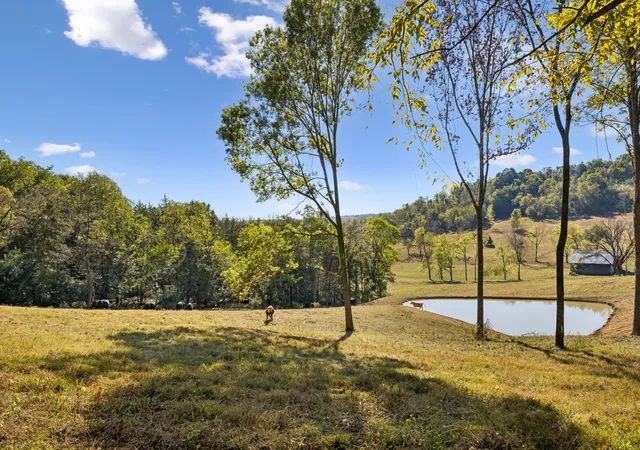Photo 3 of House for sale at 4704 Allen Harlan Rd, Hampshire, TN 38461 | MLS# 3621606 | Listing updated on 2026-10-29