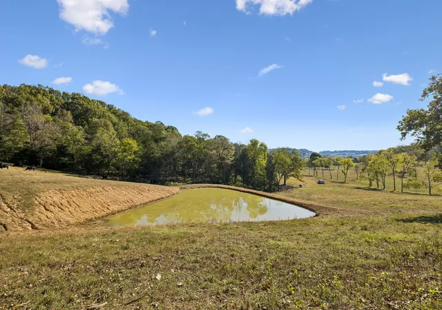 Photo 4 of House for sale at 4704 Allen Harlan Rd, Hampshire, TN 38461 | MLS# 3621606 | Listing updated on 2026-10-29